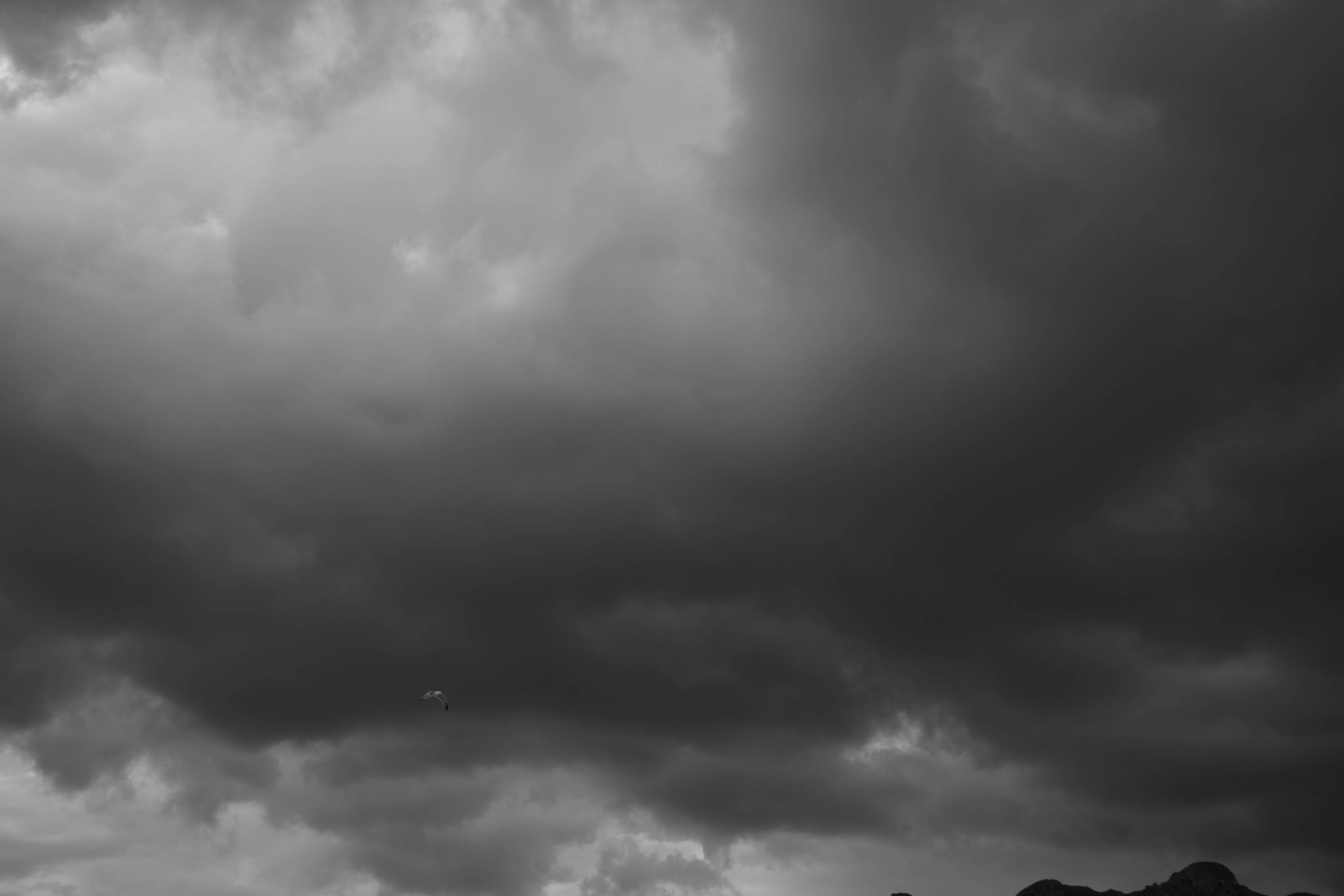 2023 02 08 15 17 51 DSCF9790 1